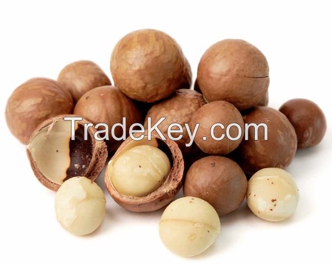 macadamia nuts