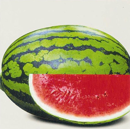 hybrid water melon seed