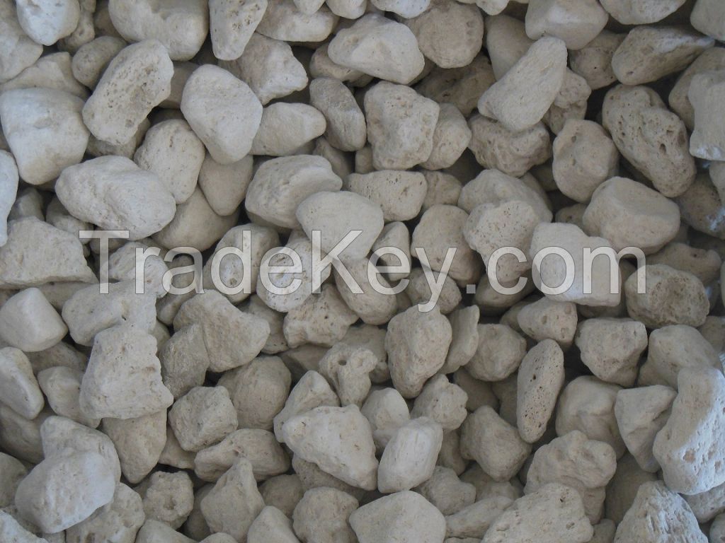 pumice stone