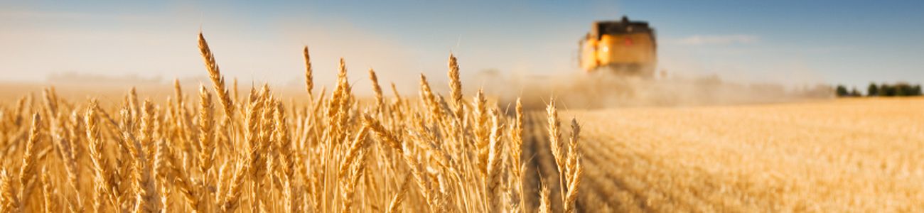 Nuts and Grains Africa Pty Ltd
