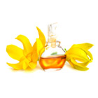 Camera & Accessories