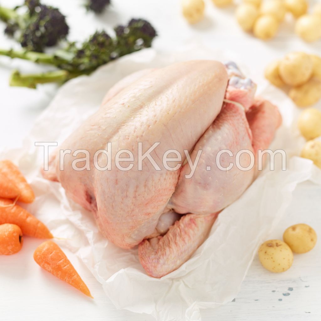 High Protein Whole Frozen Chicken For Global Food Distributors Premium Frozen Chicken Bulk Export Fresh Processing