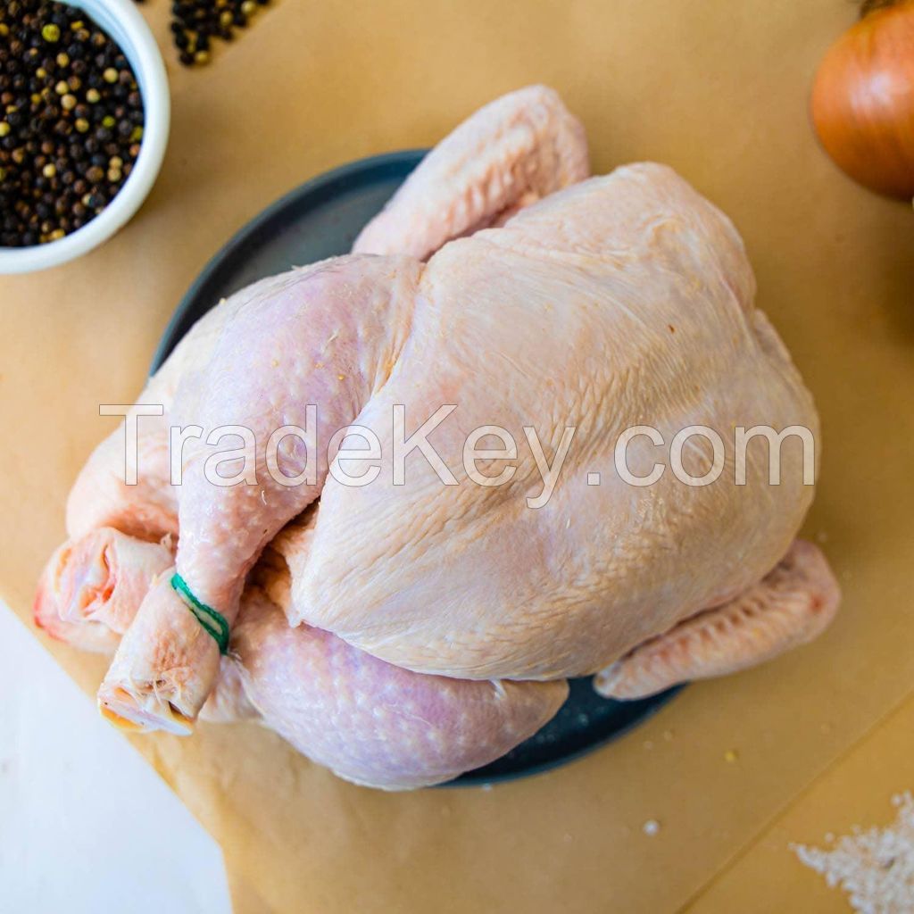 Frozen Halal Chicken for sell