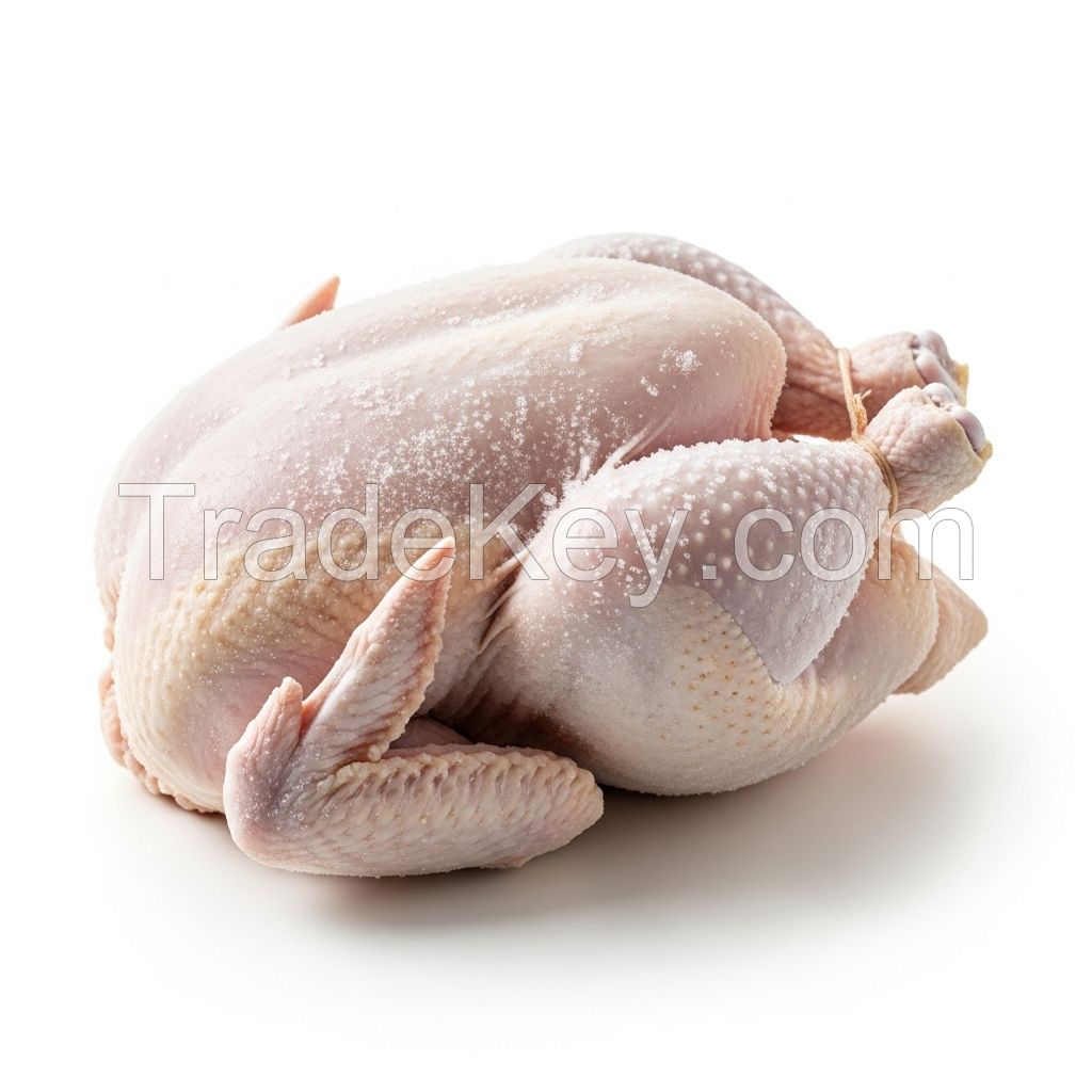 Premium Farm Whole Frozen Chicken For Import Distribution Hygienic Frozen Chicken Bulk Export Fresh Poultry Source