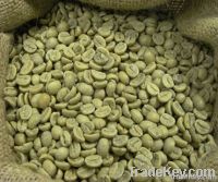 Robusta Coffee Beans