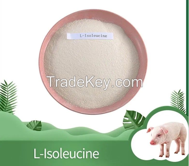 Manufacturer Supply Nutrition Enhancers Food Additives Amino Acid L-Isoleucine CAS 73-32-5 L-Isoleucine