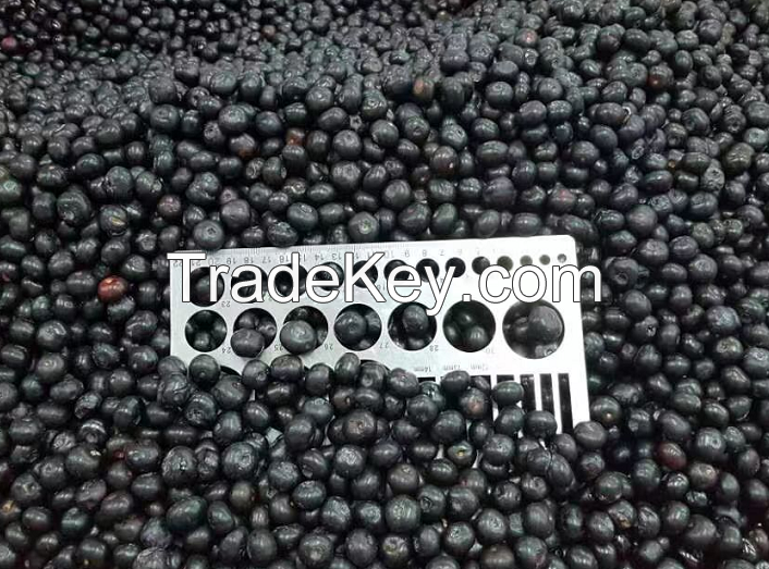 Frozen fruit frozen blueberry fresh fruit
