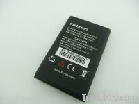 Mobile Phone Batteries