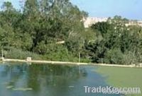 Environment Projects