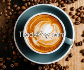 Premium Green Coffee Beans B2B Trade