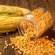 High Energy Livestock Corn Feed for Animal Diet
