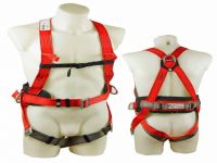 Safety Harness