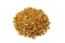Feed Grade Yellow Corn for Agricultural Use