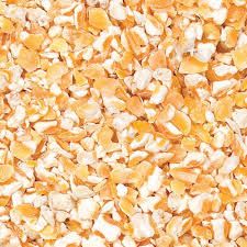Premium Animal Feed Corn for Sustainable Farming