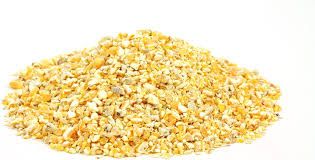 Natural Maize Feed Grain for Livestock Growth
