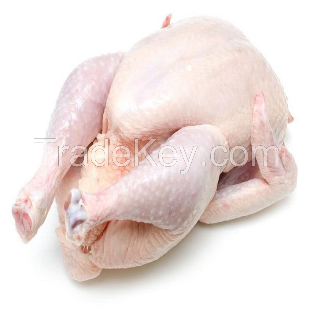 Premium Whole Frozen Chicken For Global Food Supply High Quality Frozen Chicken Bulk Export Fresh Taste Clean Processing Trusted Source