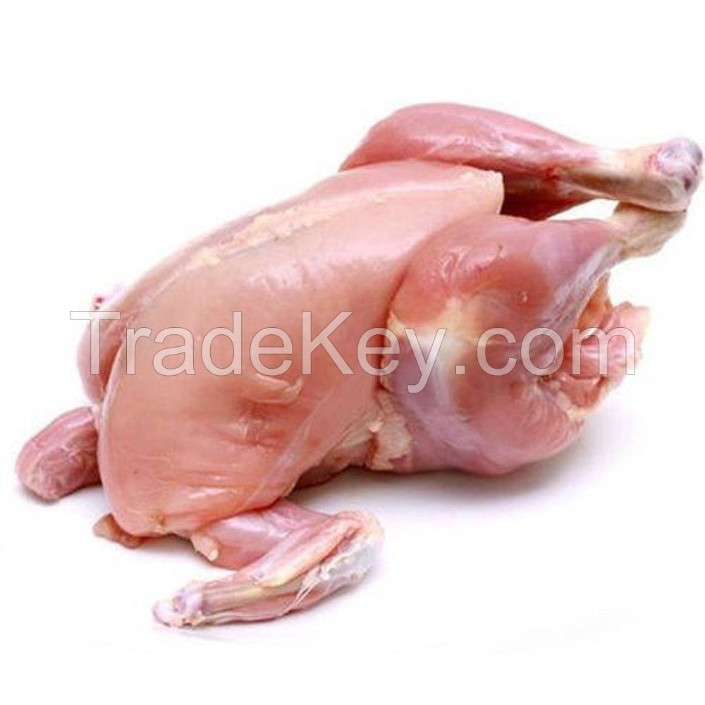 Clean Processed Whole Frozen Chicken For Global Importers Premium Frozen Chicken Bulk Packing Fresh Poultry Export