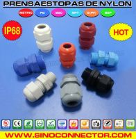 Cable Glands
