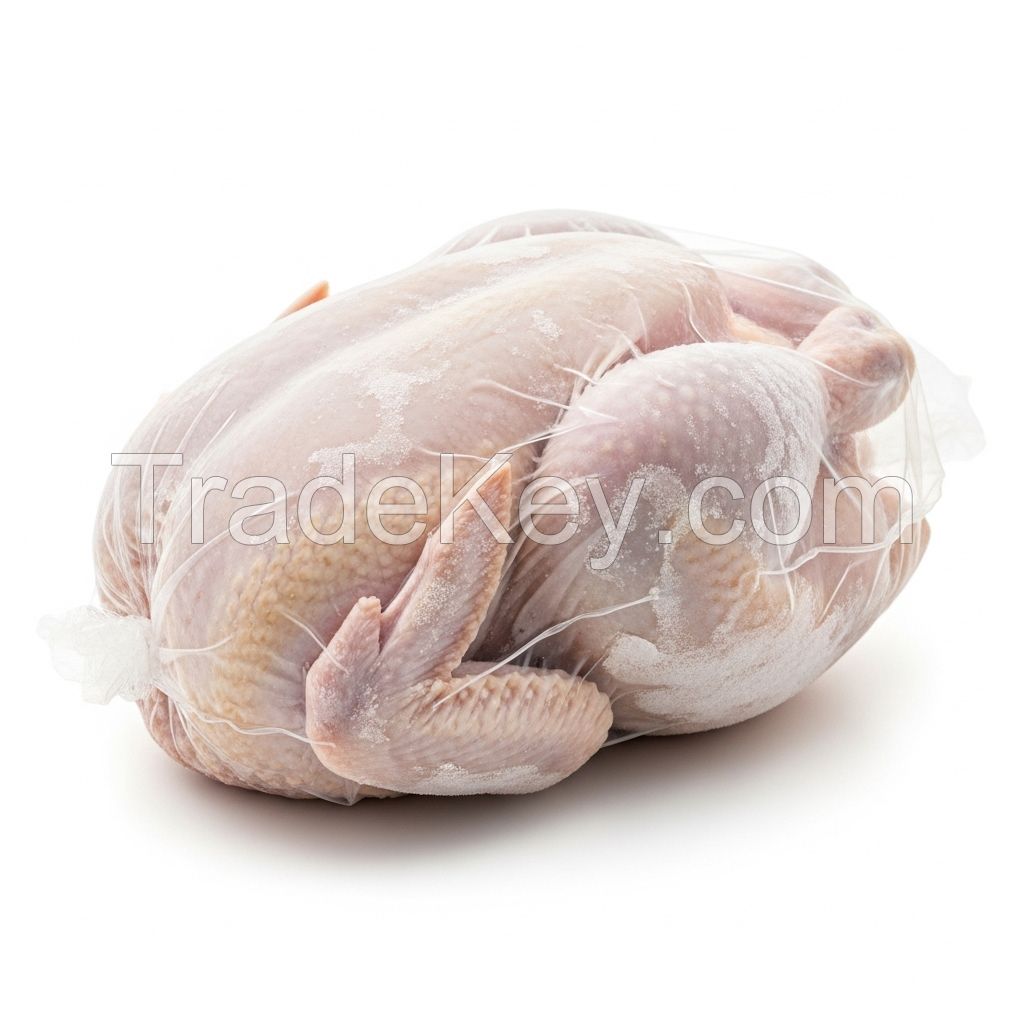 Export Standard Whole Frozen Chicken For Import Distribution Premium Frozen Chicken Bulk Packaging Fresh Poultry