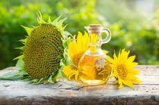 Refined Sunflower Oil &acirc;€“ Light Taste Edible Oil for Food Processing
