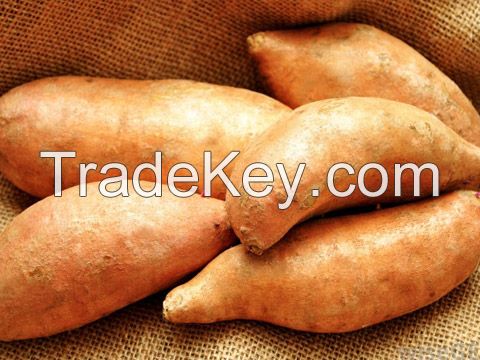 nigerian yam