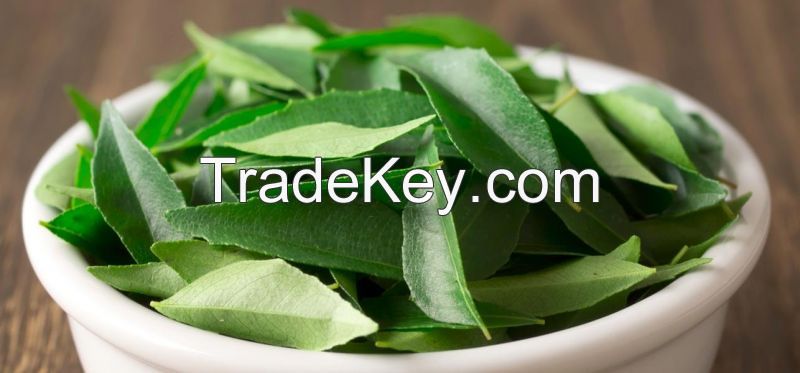 Curry Leaves