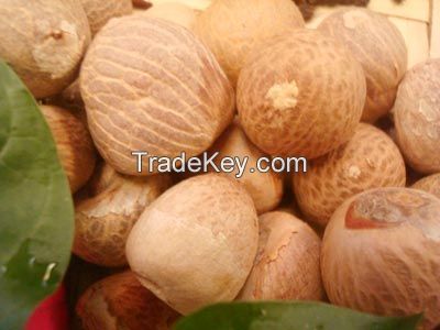 Almond Nuts, Peanuts, Walnuts, Betel Nuts