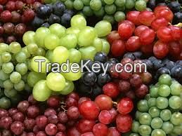 Grapes /red grapes/Best fresh red grapes