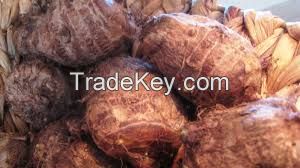 2015 new crops Fresh taro