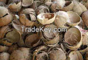 COCONUT SHELL