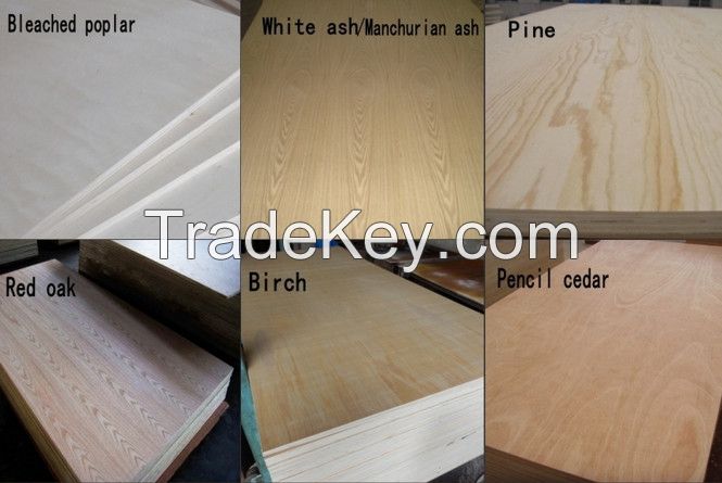 High Quality Plywood for Construction, Decoration and Furniture