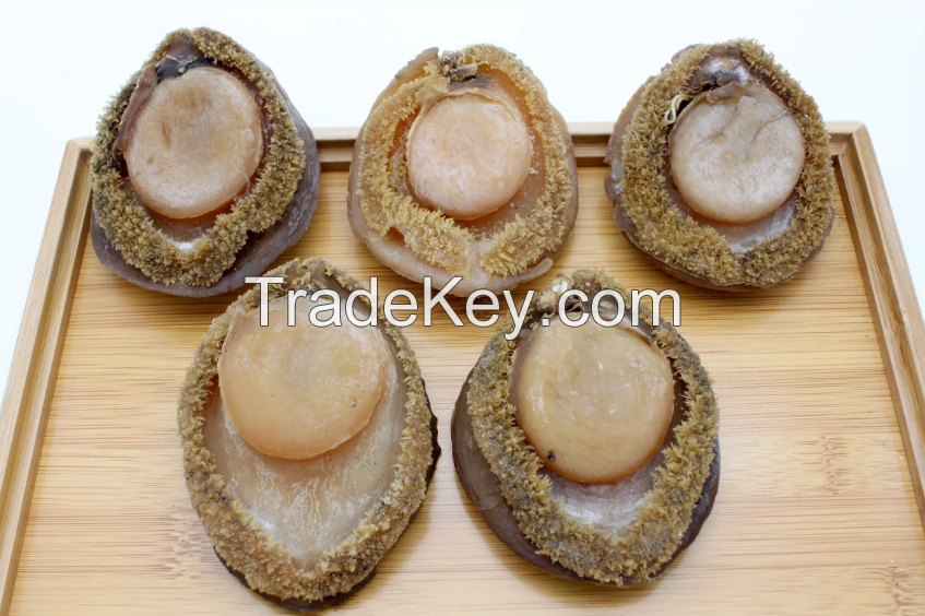 Dried Abalone