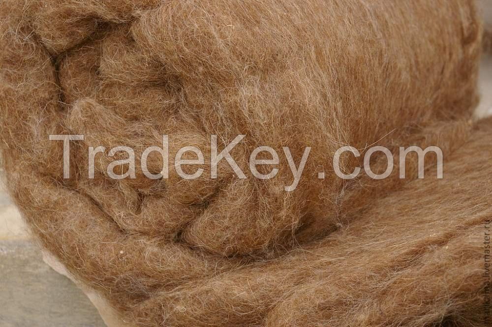 Best quality camel hair/Wool