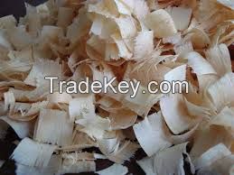 Wood Shavings