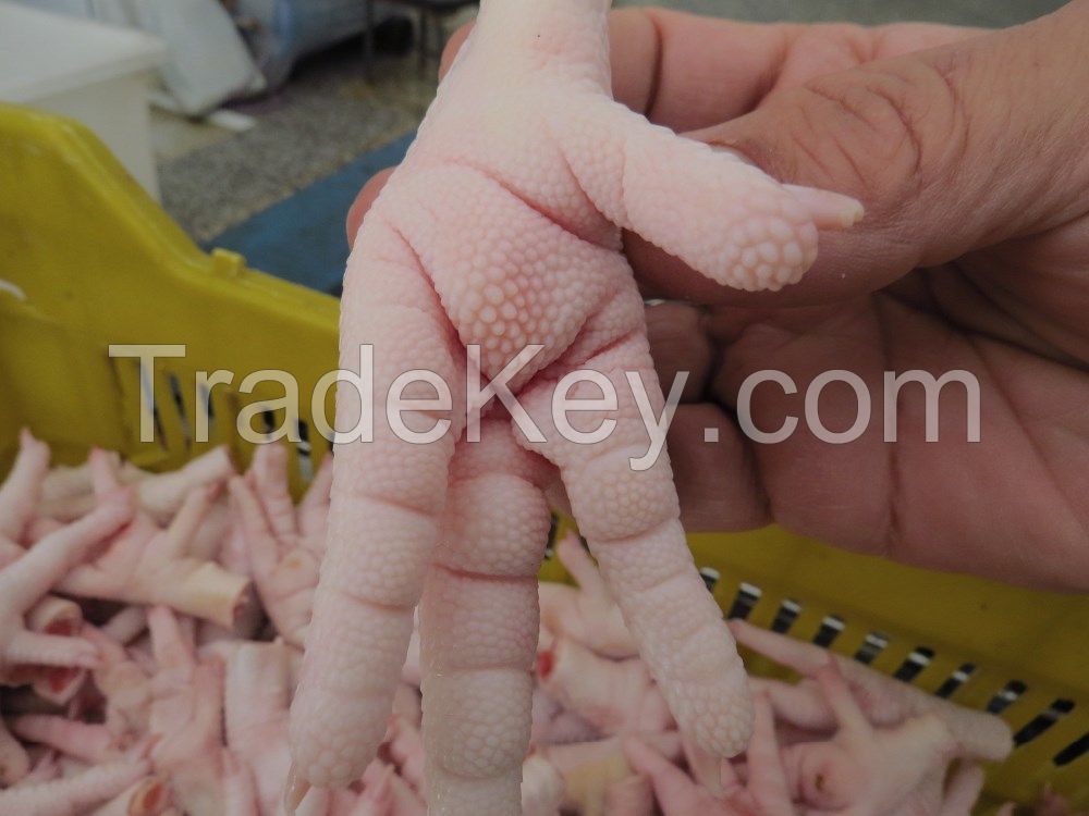 Grade ''A'' Frozen Chicken Feet and Frozen Chicken Paws