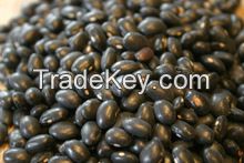 Kidney Beans