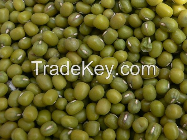 Green Mung Beans