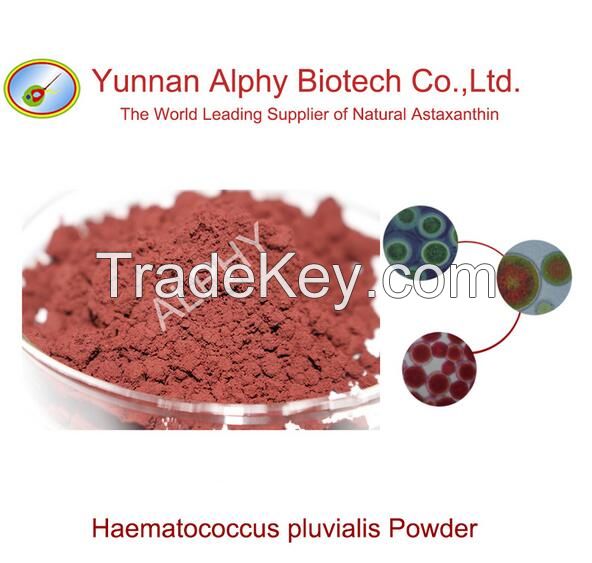 Haematococcus pluvialis extract