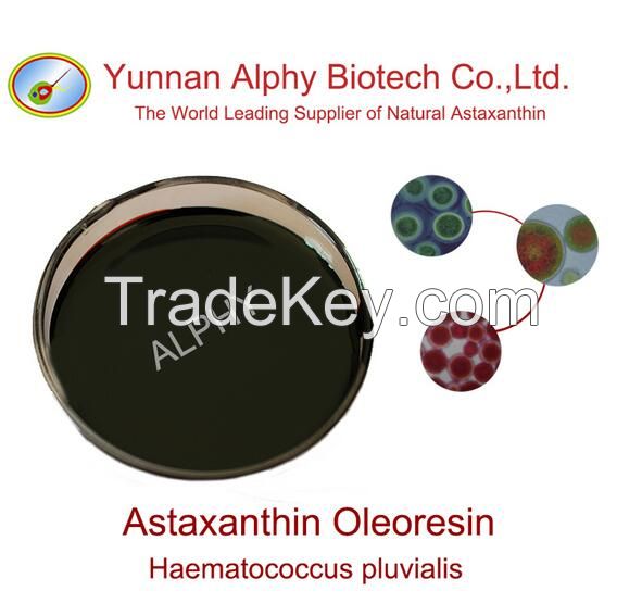 5% natural astaxanthin oil