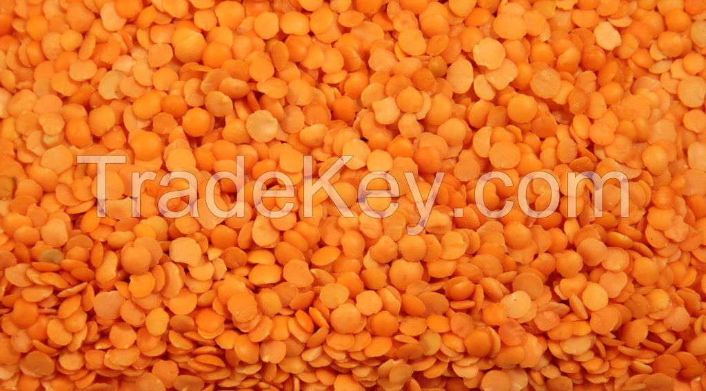 Split Red Lentils