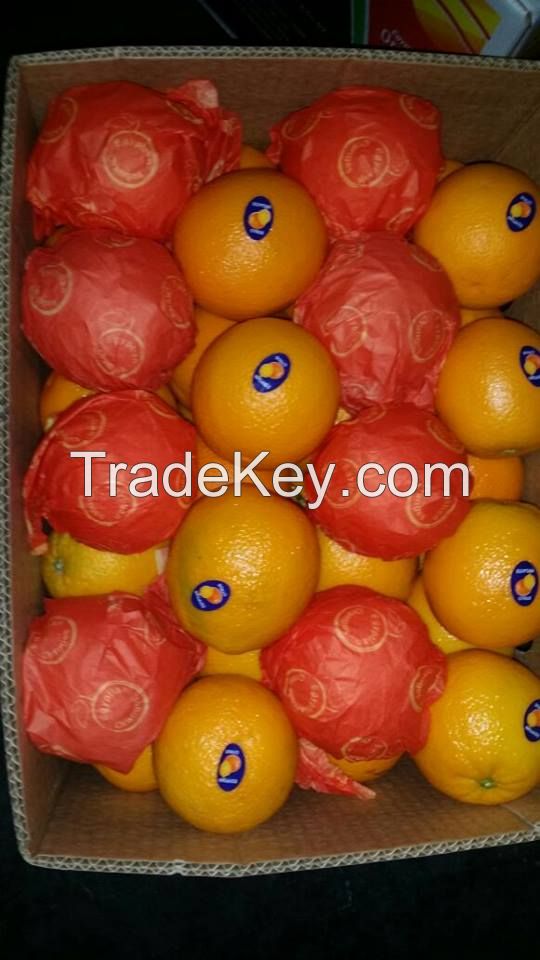 Egyptian Fresh Orange- hot offer