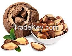 Brazil Nuts