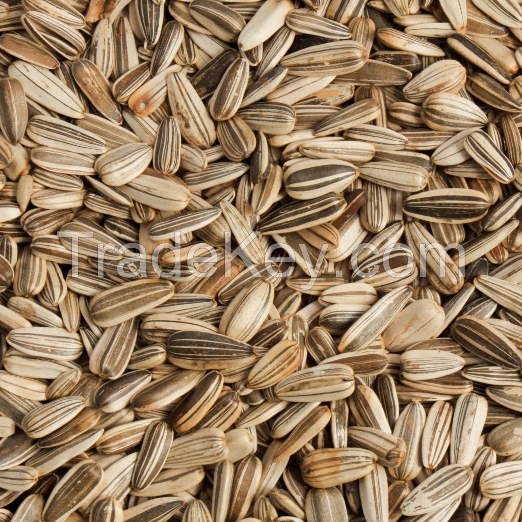 Sunflower Seed Animal Feed