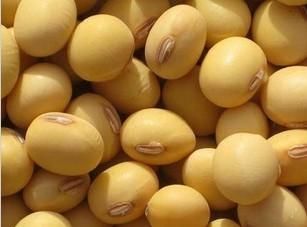 Soybeans