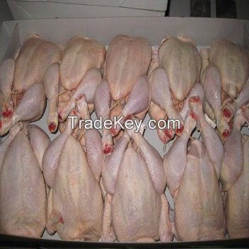 FROZEN HALAL CHICKEN FEET / FROZEN CHICKEN PAWS / WHOLE BRAZILIAN