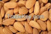 Almond Nuts