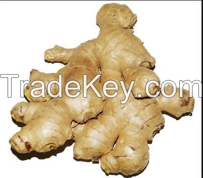 dry ginger