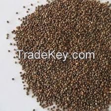 perilla seeds