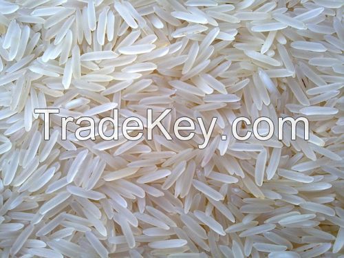 Sell RICE, Sona Masuri Rice