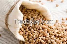 High Quality Roasted Buckwheat Kernel